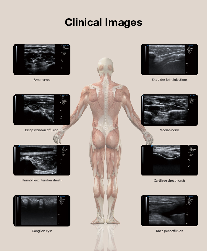 imagerie clinique