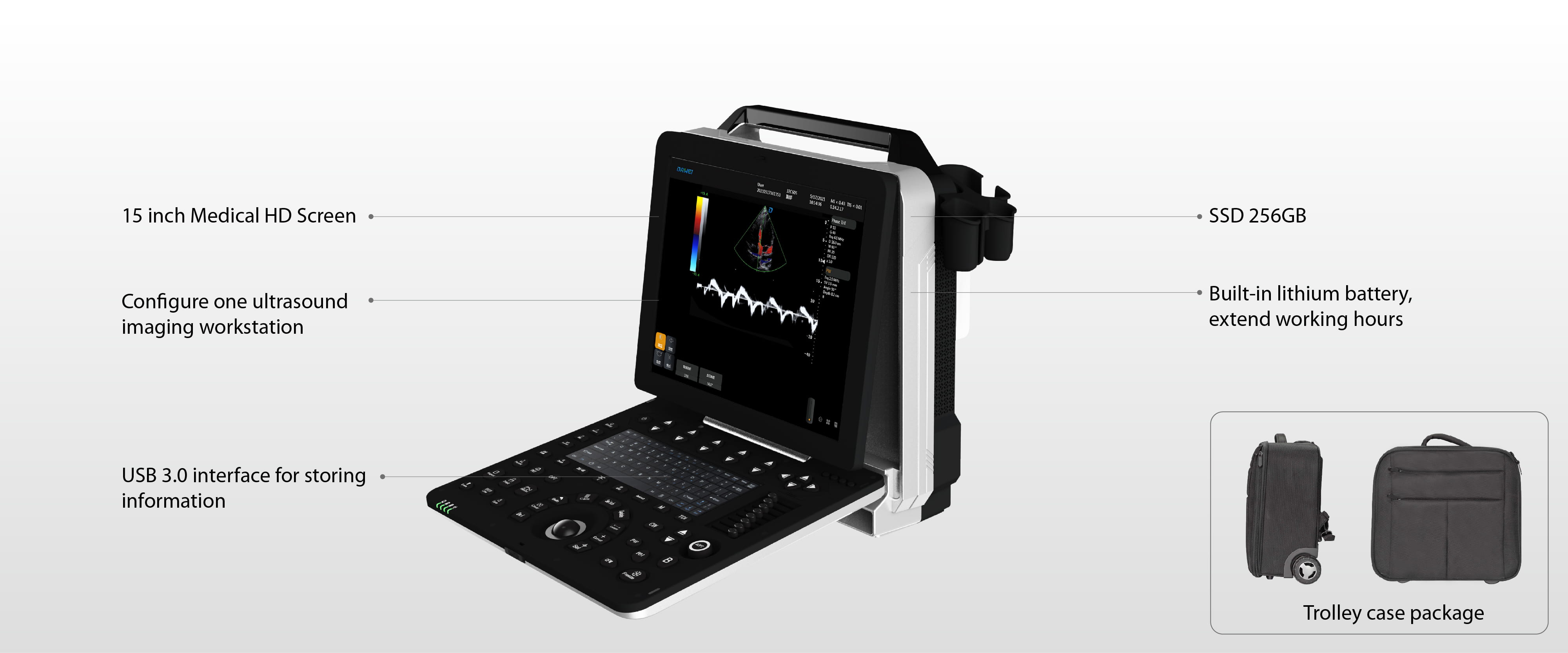 Conception DW P50 Exp