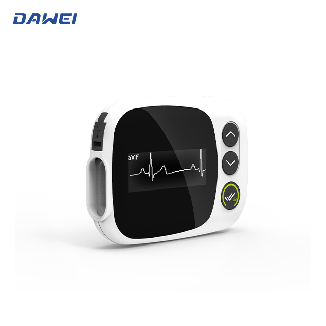 Holter ECG ማሳያ