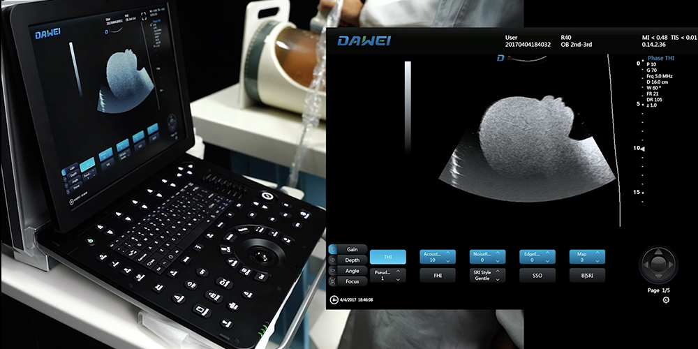 DW-P8 4d Treoir Oibri&uacute;ch&aacute;in &Iacute;omh&aacute;&uacute;